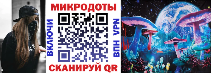 Псилоцибиновые грибы Psilocybine cubensis Холм